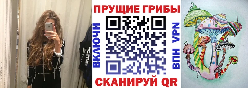 купить сайты Саранск Псилоцибиновые грибы Magic Shrooms